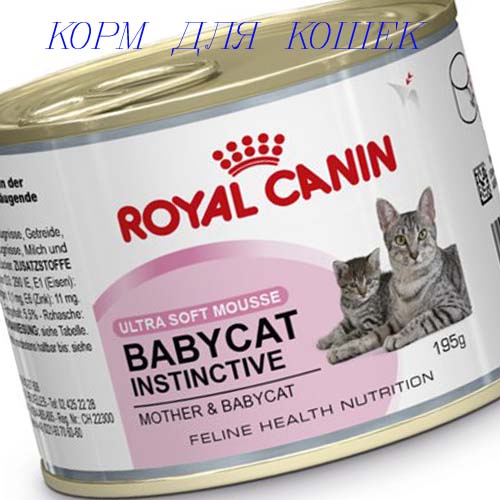 Обзор ассортимента кормов для кошек Royal Canin и Pro Plan